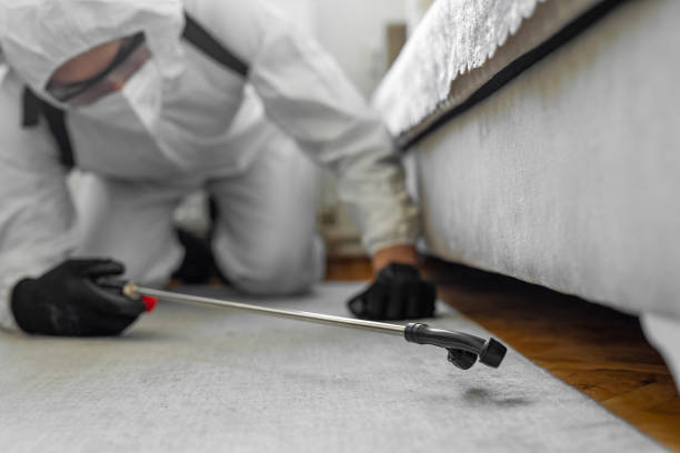 Professional Bed Bug Control technician working in Pope County County, AR